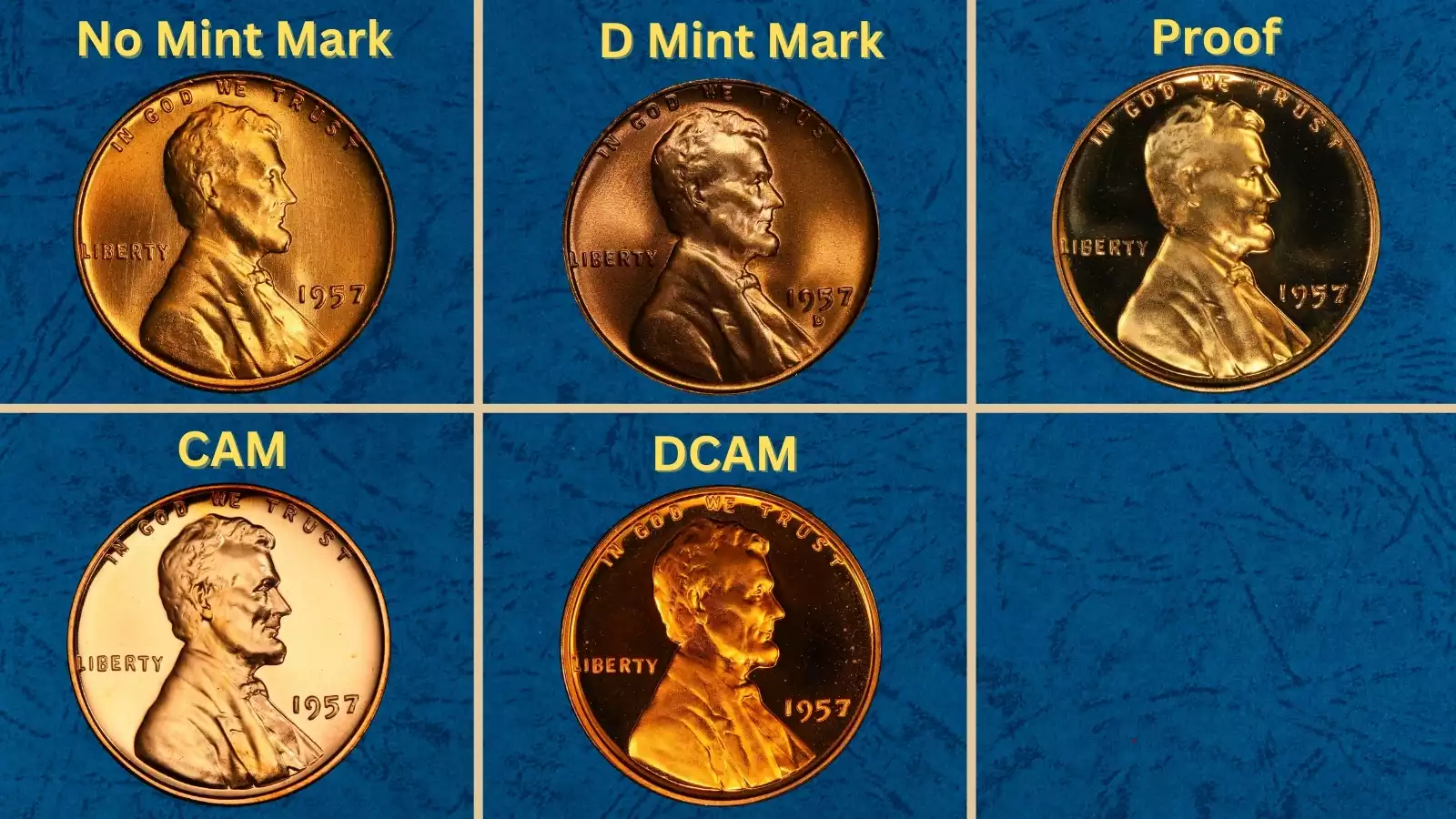 1957 Lincoln wheat cents display showing Philadelphia, Denver, and proof specimens together